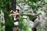 Promenons nous dans les bois 97 * 5616 x 3744 * (8.25MB)